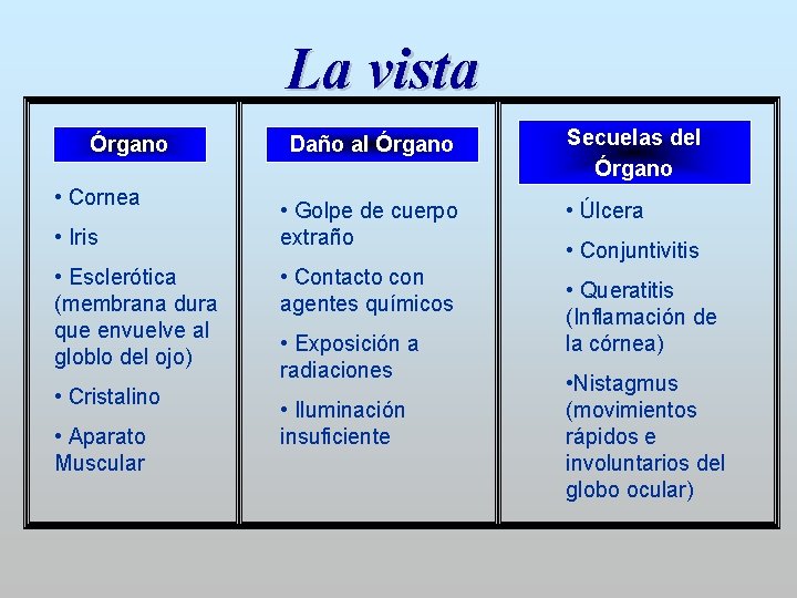 La vista Órgano • Cornea • Iris • Esclerótica (membrana dura que envuelve al