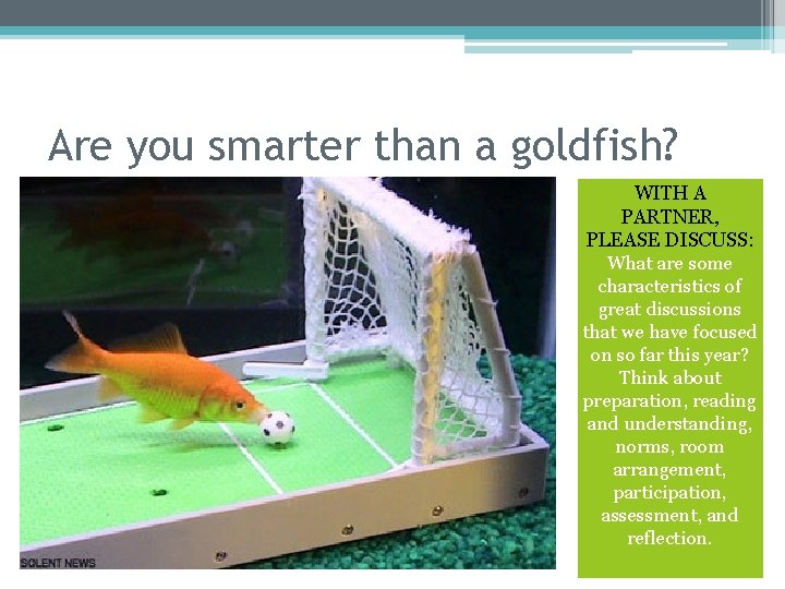 Are you smarter than a goldfish? WITH A PARTNER, PLEASE DISCUSS: What are some