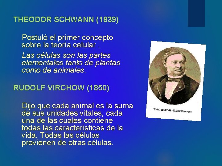 THEODOR SCHWANN (1839) Postuló el primer concepto sobre la teoría celular. Las células son