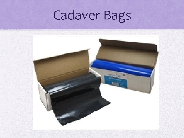 Cadaver Bags 