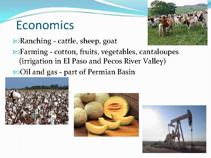 Economics Ranching - cattle, sheep, goat Farming - cotton, fruits, vegetables, cantaloupes (irrigation in