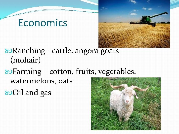 Economics Ranching - cattle, angora goats (mohair) Farming – cotton, fruits, vegetables, watermelons, oats