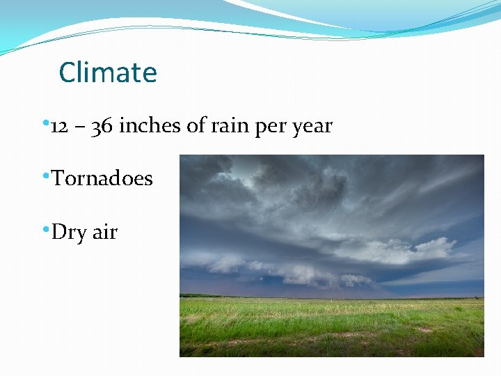 Climate • 12 – 36 inches of rain per year • Tornadoes • Dry