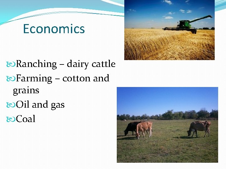 Economics Ranching – dairy cattle Farming – cotton and grains Oil and gas Coal