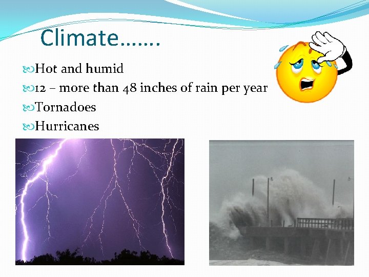 Climate……. Hot and humid 12 – more than 48 inches of rain per year