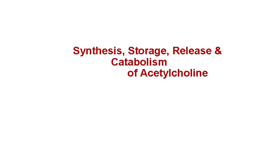 Synthesis, Storage, Release & Catabolism of Acetylcholine 