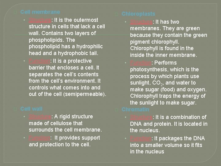 � Cell membrane • Structure: It is the outermost structure in cells that lack