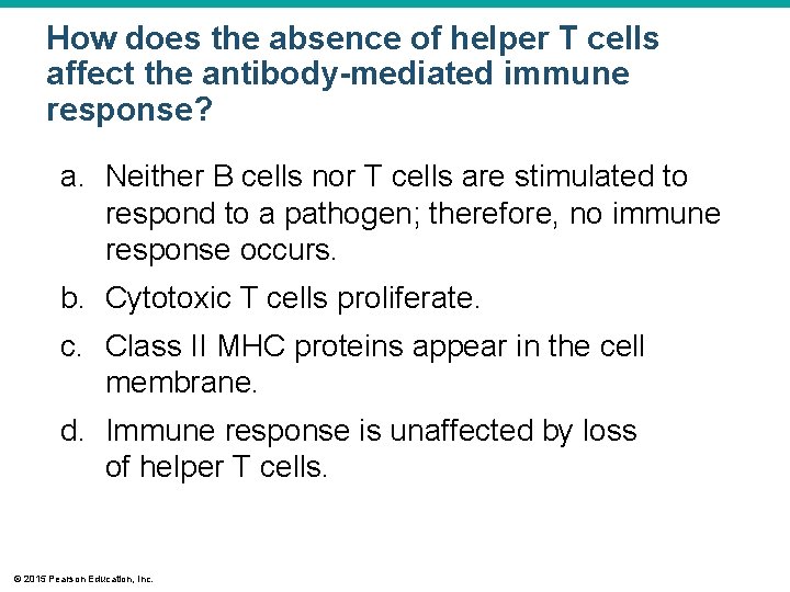 How does the absence of helper T cells affect the antibody-mediated immune response? a.