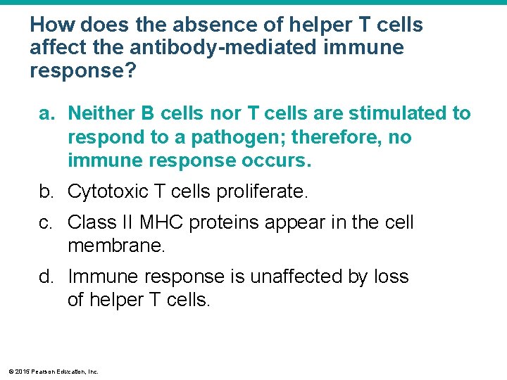 How does the absence of helper T cells affect the antibody-mediated immune response? a.