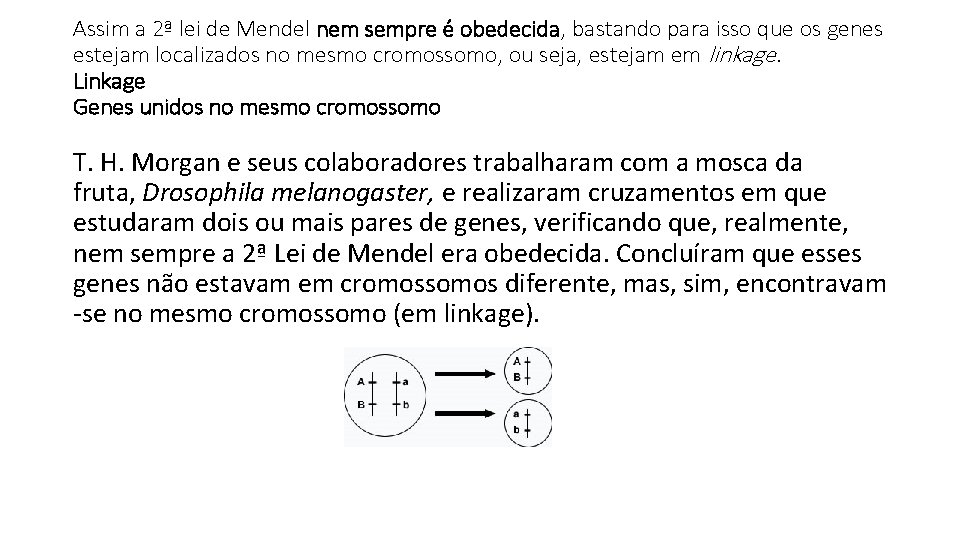Assim a 2ª lei de Mendel nem sempre é obedecida, bastando para isso que