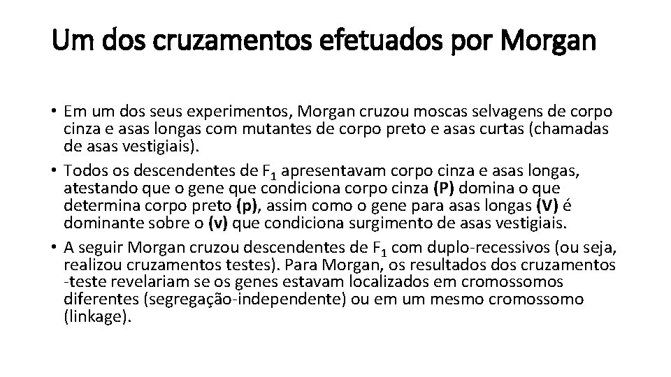 Um dos cruzamentos efetuados por Morgan • Em um dos seus experimentos, Morgan cruzou