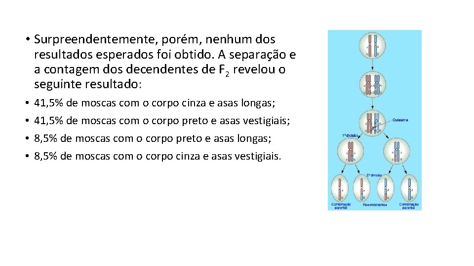  • Surpreendentemente, porém, nenhum dos resultados esperados foi obtido. A separação e a