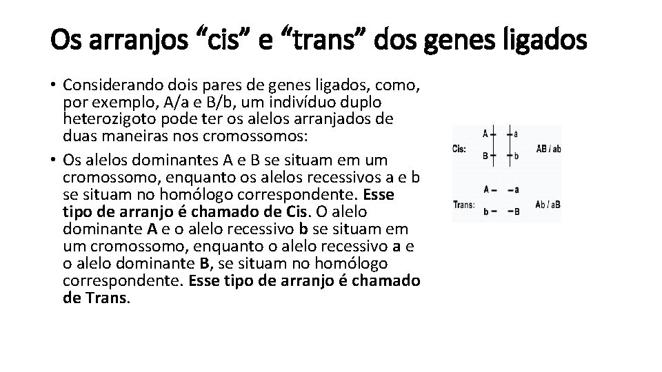 Os arranjos “cis” e “trans” dos genes ligados • Considerando dois pares de genes