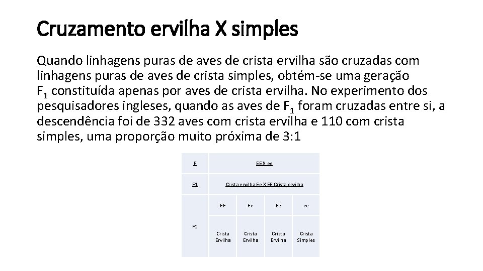 Cruzamento ervilha X simples Quando linhagens puras de aves de crista ervilha são cruzadas