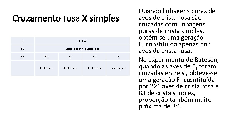 Cruzamento rosa X simples P RR X rr F 1 Crista Rosa Rr X
