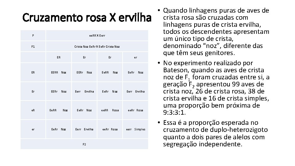 Cruzamento rosa X ervilha P ee. RR X Eerr F 1 Crista Noz Ee.