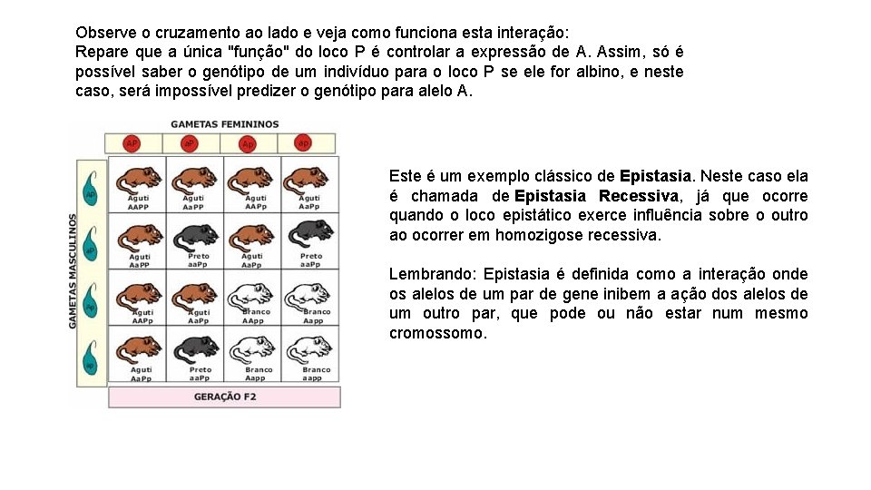 Observe o cruzamento ao lado e veja como funciona esta interação: Repare que a