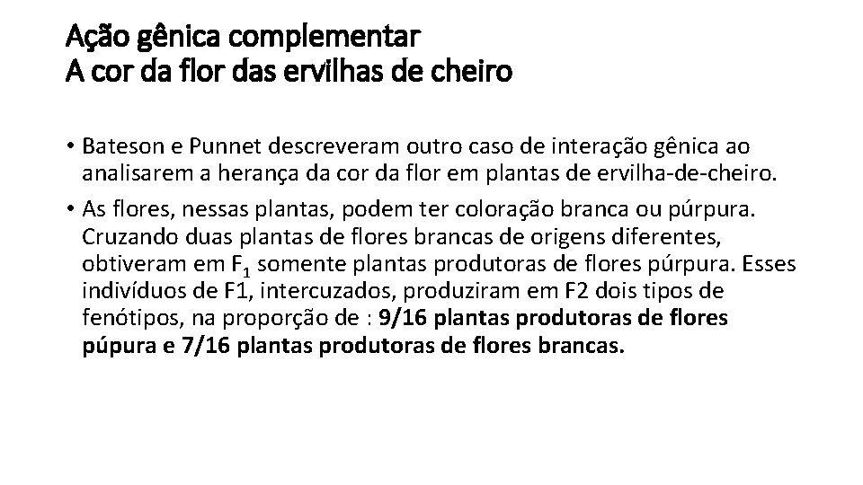 Ação gênica complementar A cor da flor das ervilhas de cheiro • Bateson e