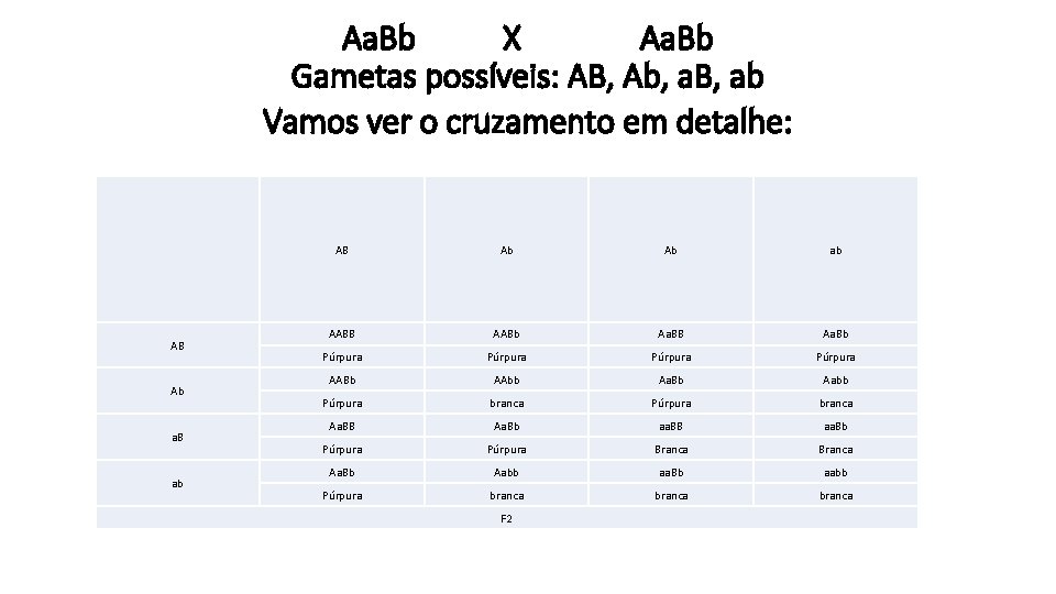 Aa. Bb X Aa. Bb Gametas possíveis: AB, Ab, a. B, ab Vamos ver