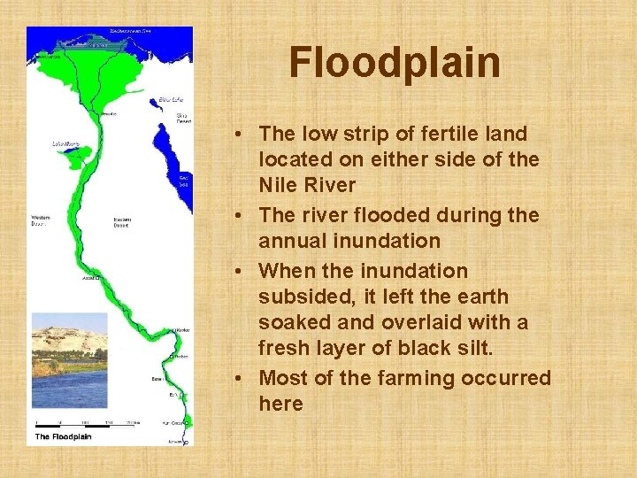 Floodplain • The low strip of fertile land located on either side of the