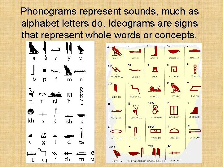 Phonograms represent sounds, much as alphabet letters do. Ideograms are signs that represent whole