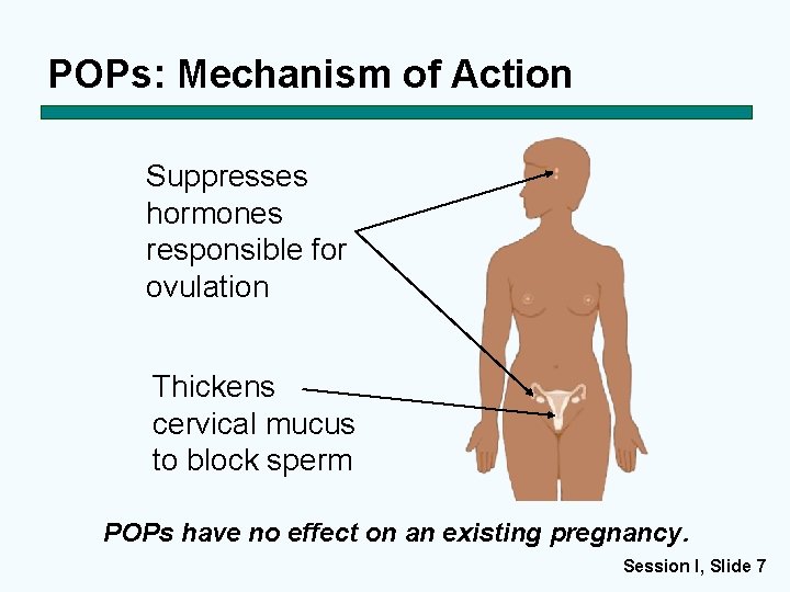 POPs: Mechanism of Action Suppresses hormones responsible for ovulation Thickens cervical mucus to block