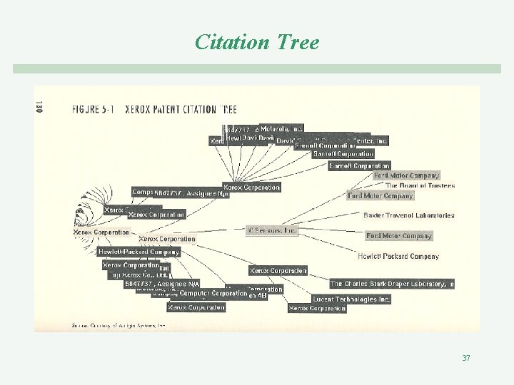 Citation Tree 37 