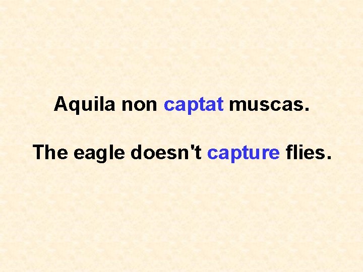 Aquila non captat muscas. The eagle doesn't capture flies. 