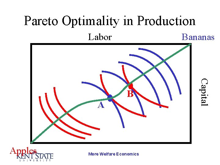 Pareto Optimality in Production Labor Bananas A Apples More Welfare Economics Capital B 