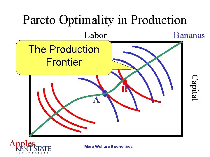 Pareto Optimality in Production Labor Bananas The Production Frontier A Apples More Welfare Economics