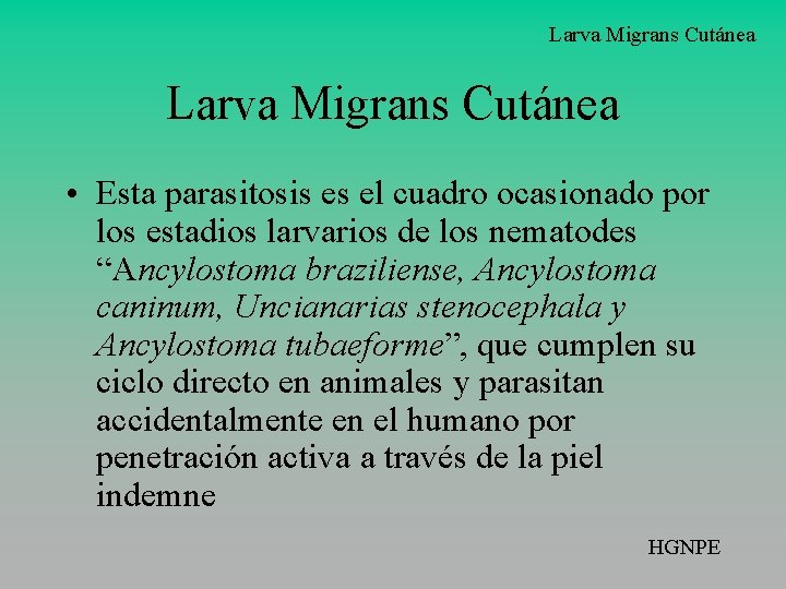 Larva Migrans Cutánea • Esta parasitosis es el cuadro ocasionado por los estadios larvarios