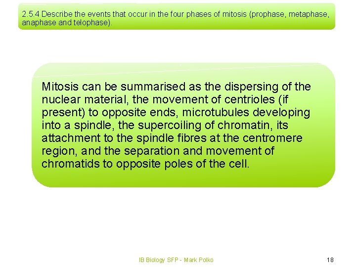 2. 5. 4 Describe the events that occur in the four phases of mitosis