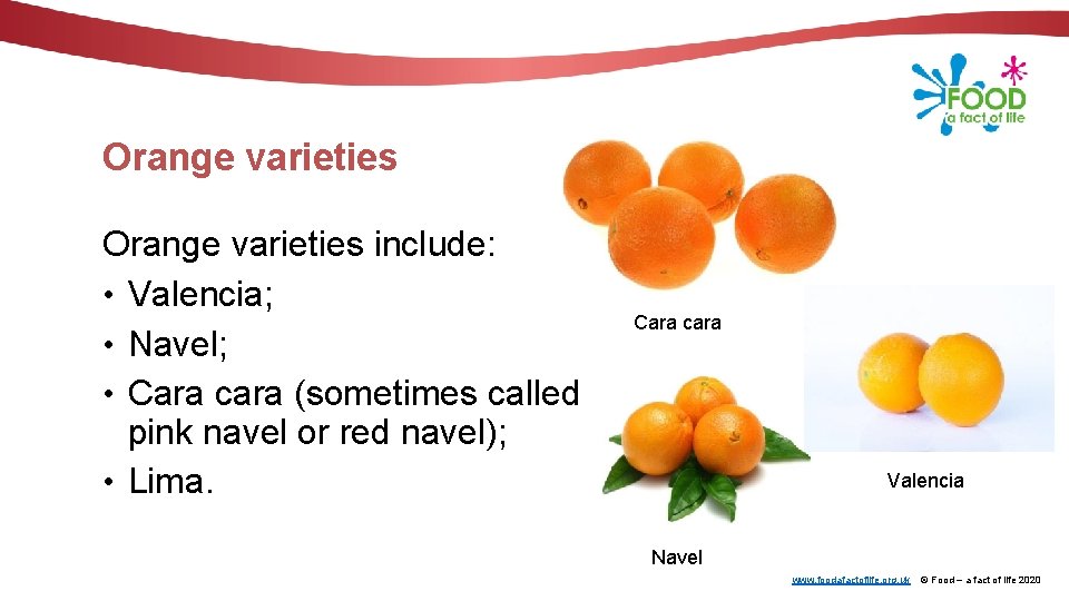 Orange varieties include: • Valencia; • Navel; • Cara cara (sometimes called pink navel