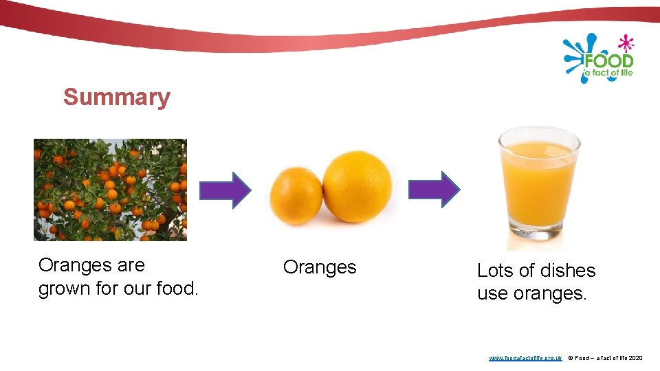 Summary Oranges are grown for our food. Oranges Lots of dishes use oranges. www.