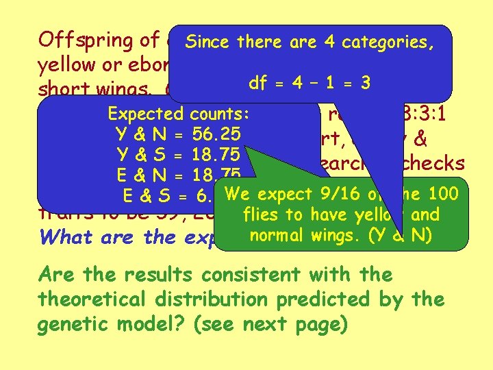 Offspring of certain fruit are flies may have Since there 4 categories, yellow or