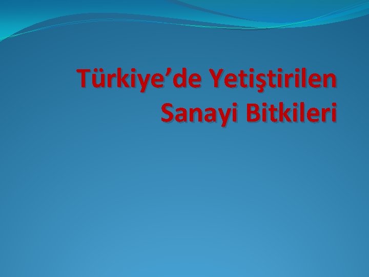 Türkiye’de Yetiştirilen Sanayi Bitkileri 