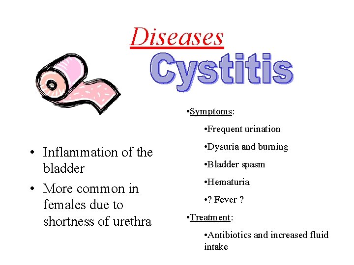 Diseases • Symptoms: • Frequent urination • Inflammation of the bladder • More common