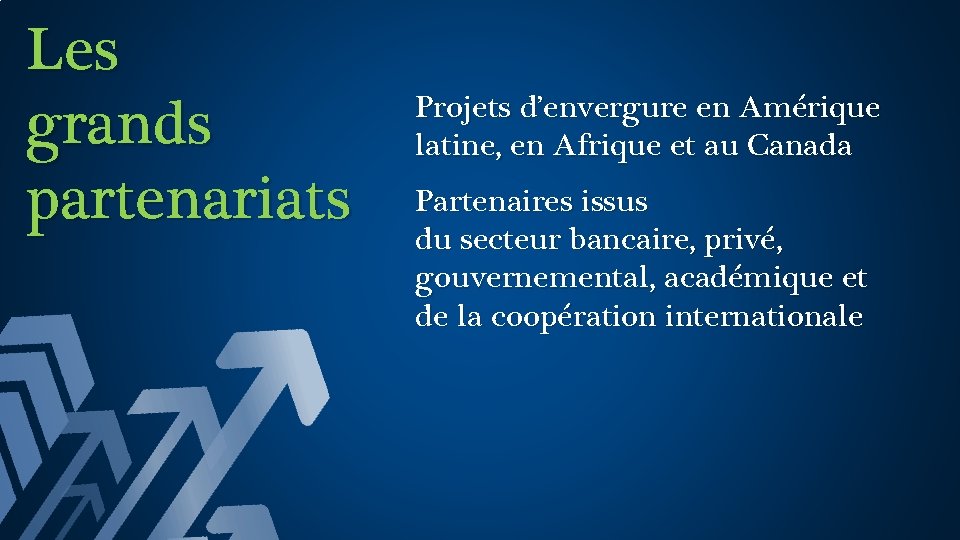 Les grands partenariats Projets d’envergure en Amérique latine, en Afrique et au Canada Partenaires