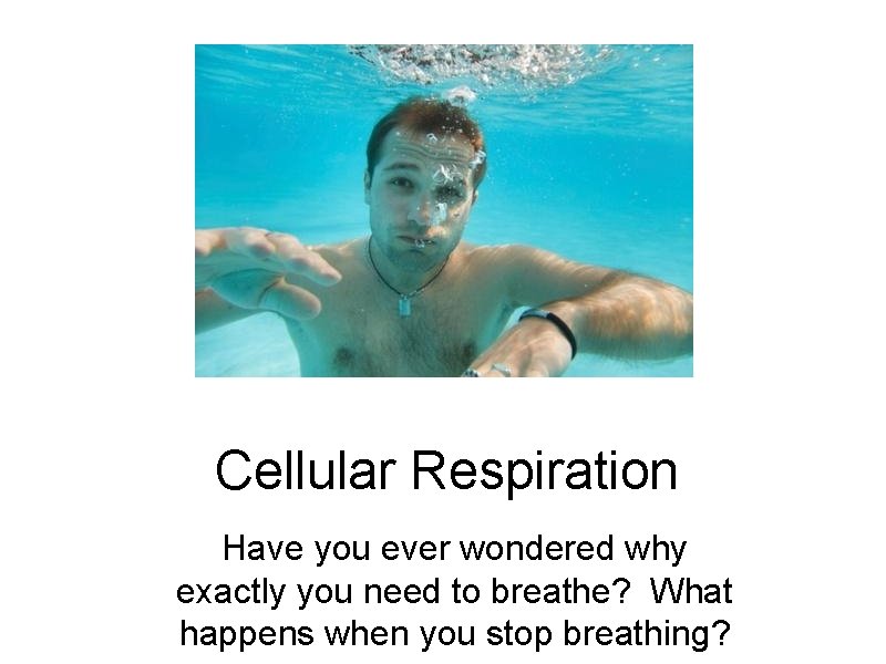 Cellular Respiration Have you ever wondered why exactly you need to breathe? What happens