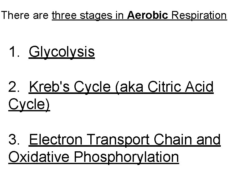 There are three stages in Aerobic Respiration 1. Glycolysis 2. Kreb's Cycle (aka Citric