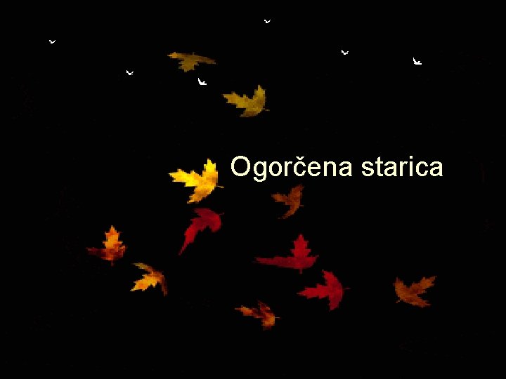 ¸ 1 Ogorčena starica 