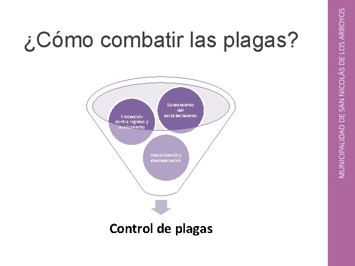 ¿Cómo combatir las plagas? Protección contra ingreso y anidamiento Saneamiento del establecimiento Desratización y