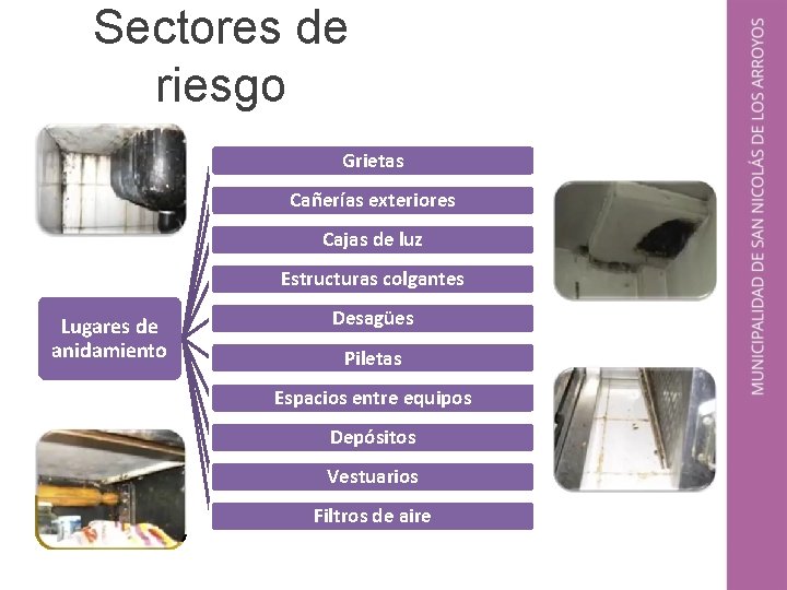 Sectores de riesgo Grietas Cañerías exteriores Cajas de luz Estructuras colgantes Lugares de anidamiento