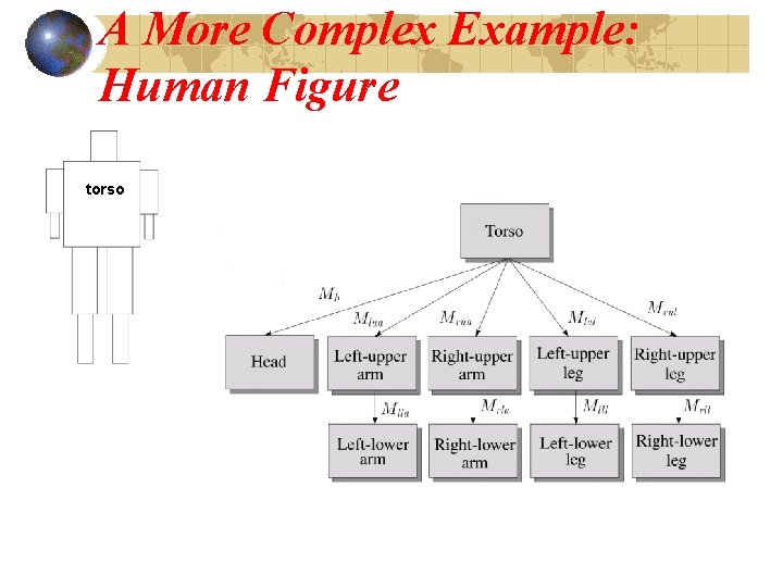 A More Complex Example: Human Figure torso 