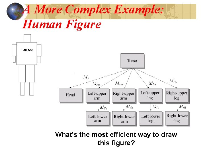 A More Complex Example: Human Figure torso What’s the most efficient way to draw