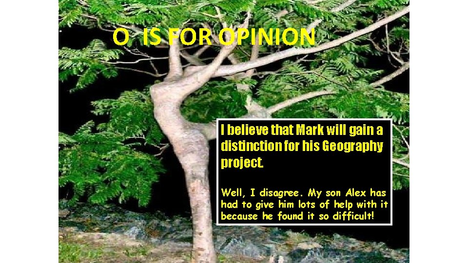 O IS FOR OPINION I believe that Mark will gain a distinction for his O IS FOR OPINION I believe that Mark will gain a distinction for his