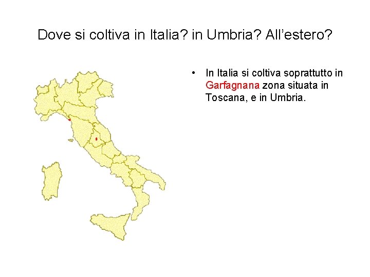 Dove si coltiva in Italia? in Umbria? All’estero? • In Italia si coltiva soprattutto