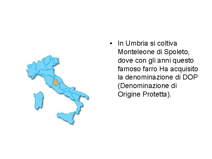  • In Umbria si coltiva Monteleone di Spoleto, dove con gli anni questo