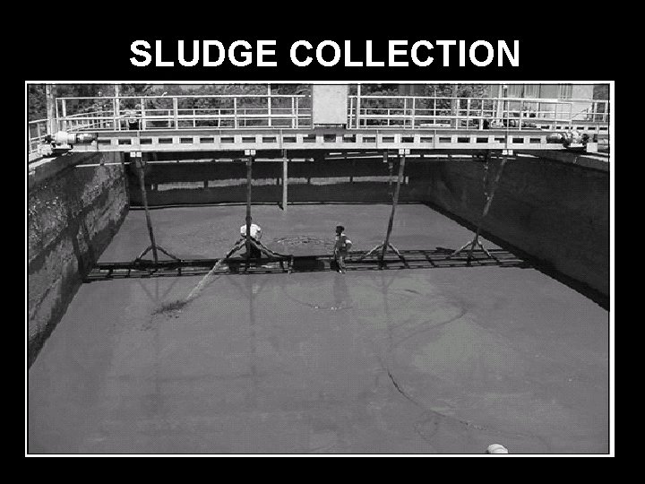 SLUDGE COLLECTION 