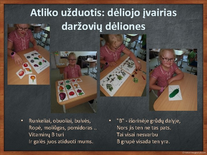 Atliko užduotis: dėliojo įvairias daržovių dėliones • Runkeliai, obuoliai, bulvės, Ropė, moliūgas, pomidoras. .